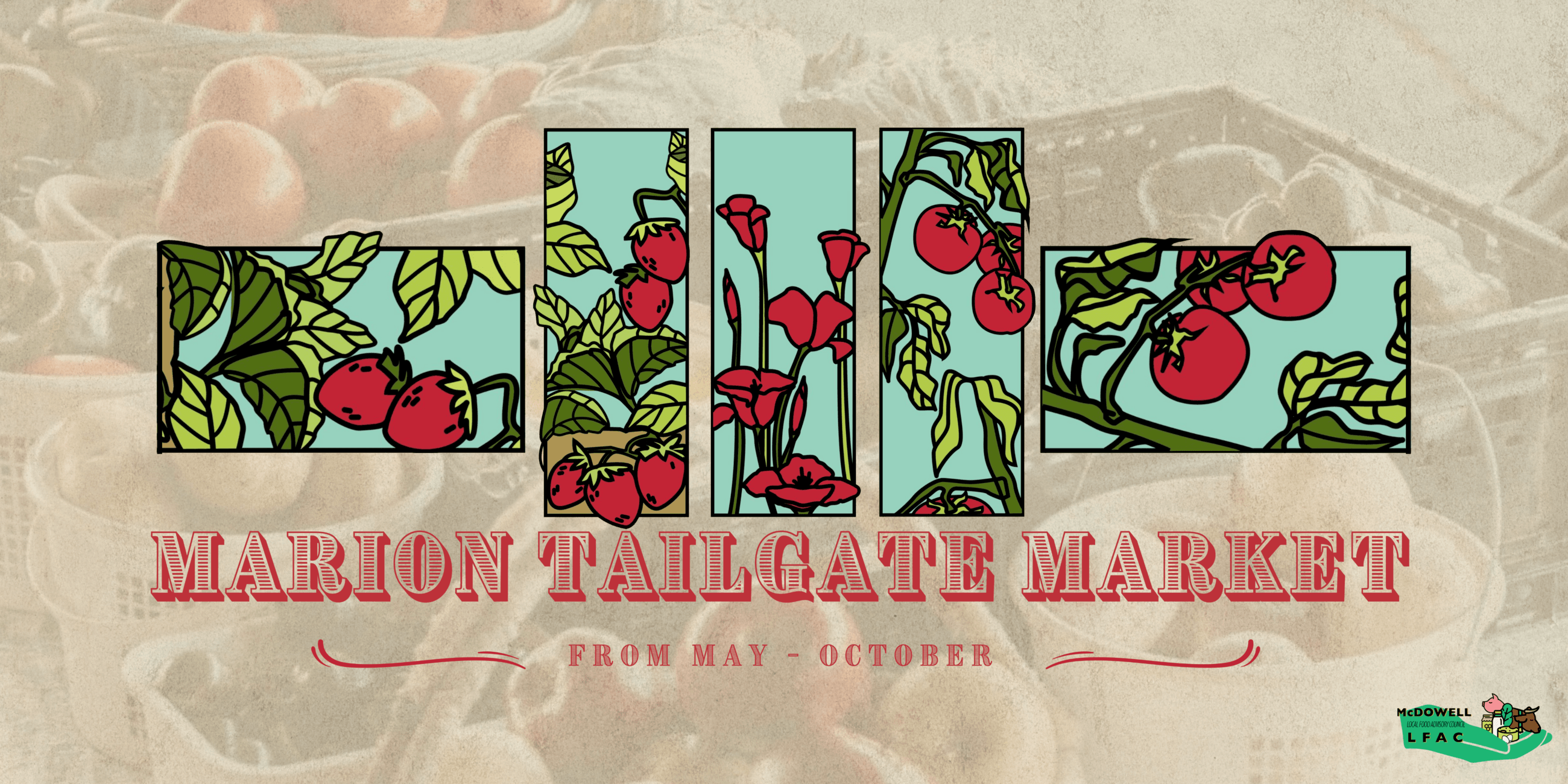 MTM Image Options for Partner Sites (1)